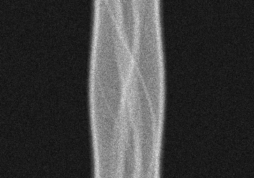 Measurement I