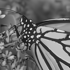 Reconstruction I