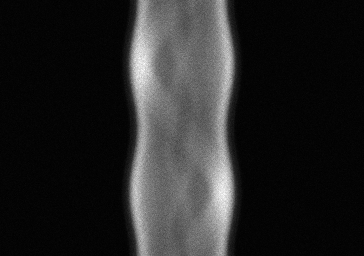 Measurement I